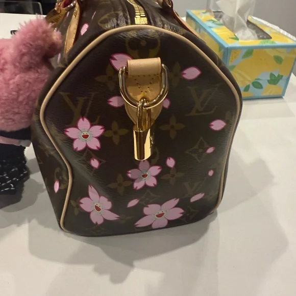 Louis Vuitton cherry blossom speedy 25 2025 Murakami store fresh - Picture 3 of 12